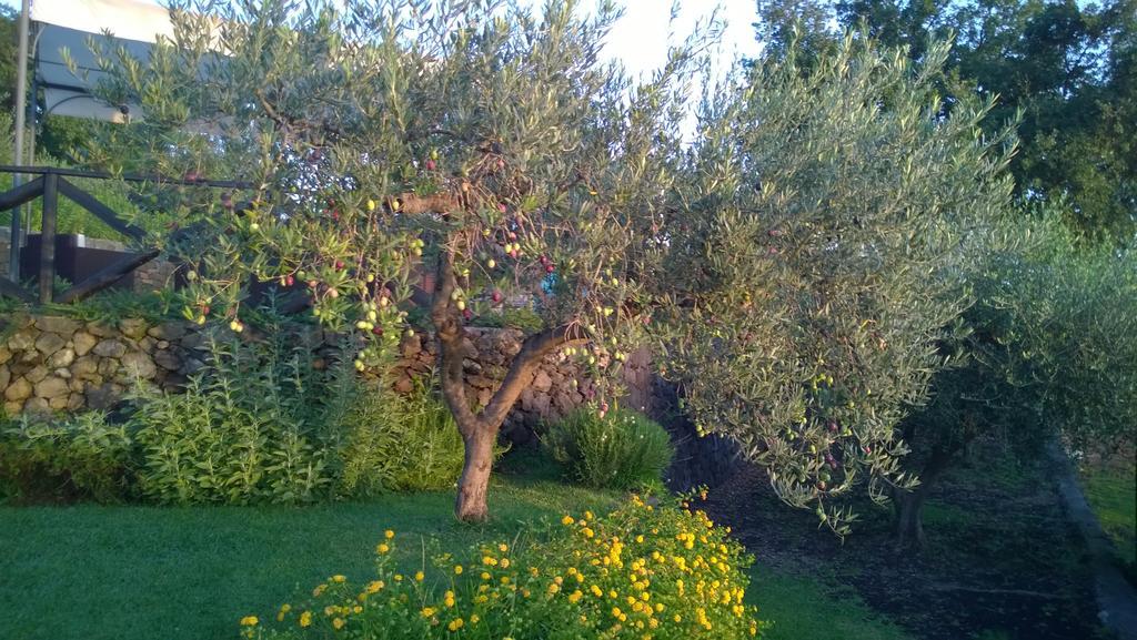 Villa Seacily Etna House Piedimonte Etneo Zimmer foto